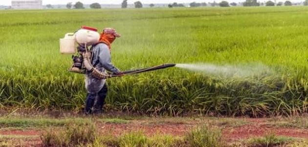 المبيدات الحشرية الكيميائية 2 المبيدات الحشرية الكيميائية