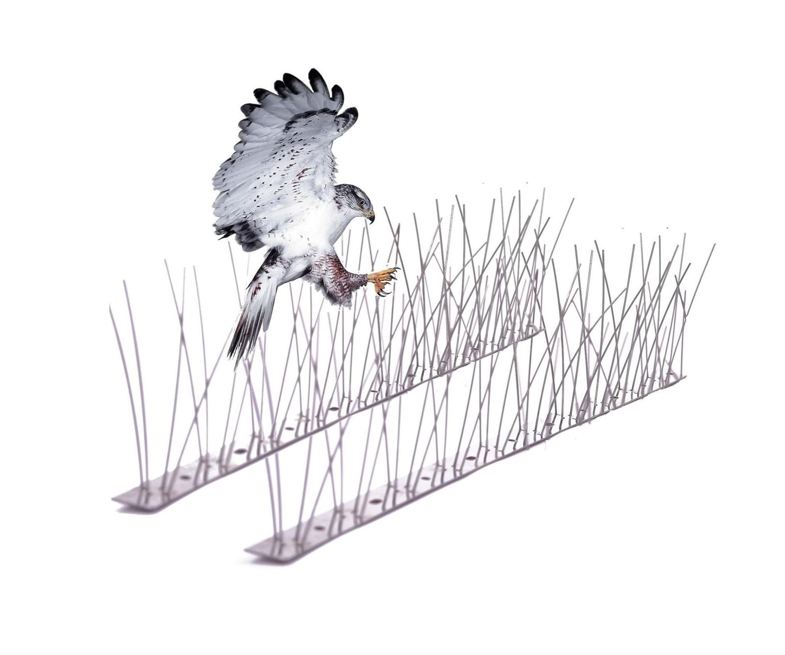 طارد الطيور شوك مانع الطيور مانع وقوف الطيور على الأسطح Bird Spike repellents طارد الطيور | شوك مانع الطيور مانع وقوف الطيور على الأسطح Bird Spike repellents