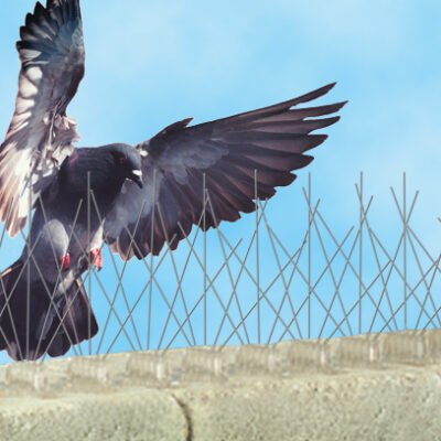 طرد الطيور شوك مانع الحمام طارد الطيور