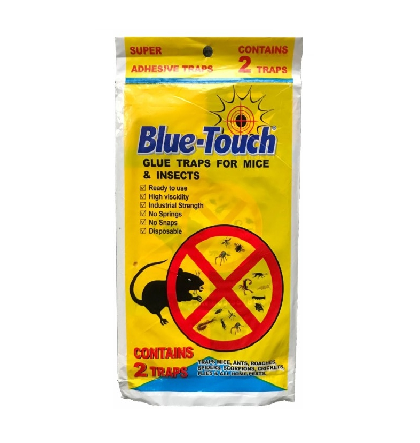 blue touch trap مصيدة الفئران اللاصقة