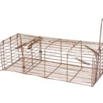مصيدة عرس weasel trap