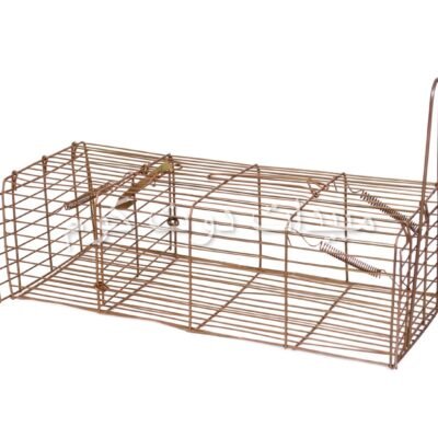 مصيدة عرس weasel trap