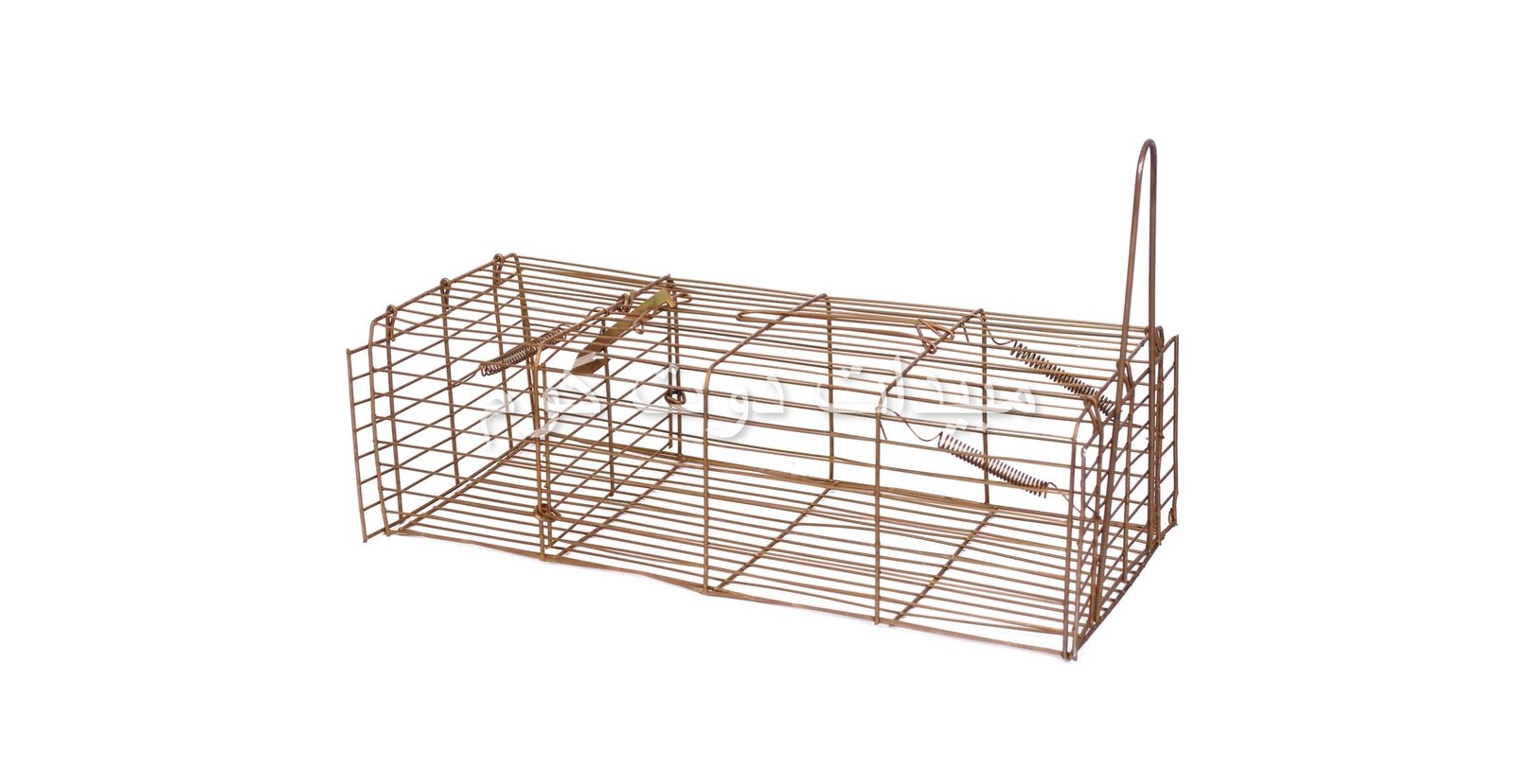 مصيدة عرس ابن عرس Weasel Traps مصيدة عرس weasel trap