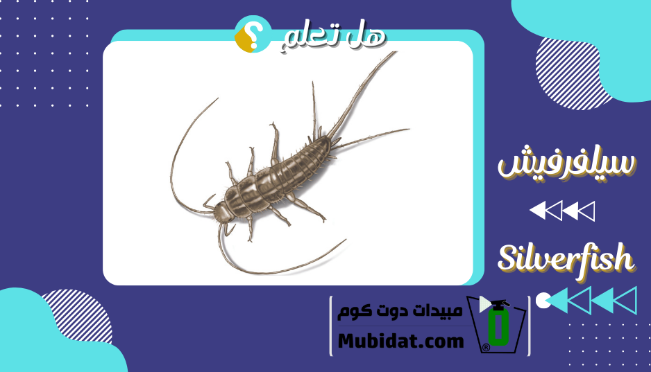 السمكة الفضية