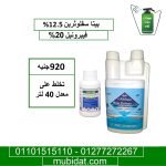 بق الفراش