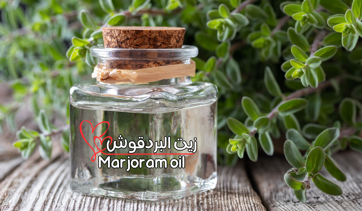 زيت البردقوش Marjoram oil 2 زيت البردقوش Marjoram oil