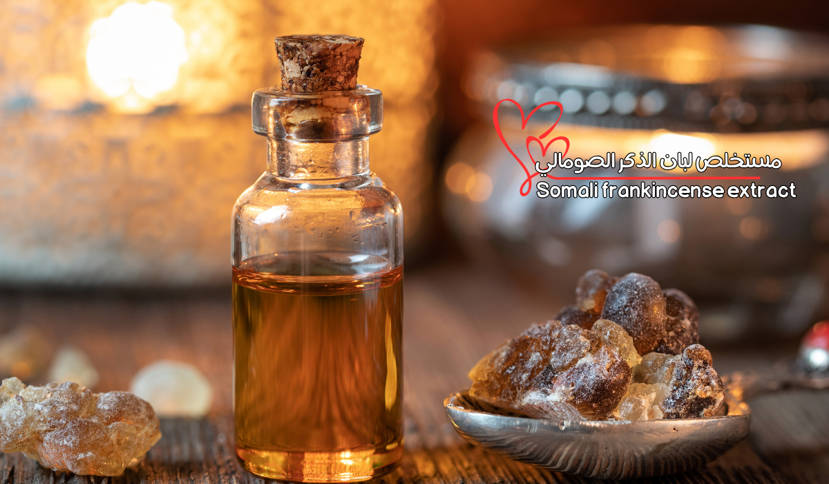 مستخلص لبان الذكر الصومالي Somali frankincense extract 2 مستخلص لبان الذكر الصومالي Somali frankincense extract