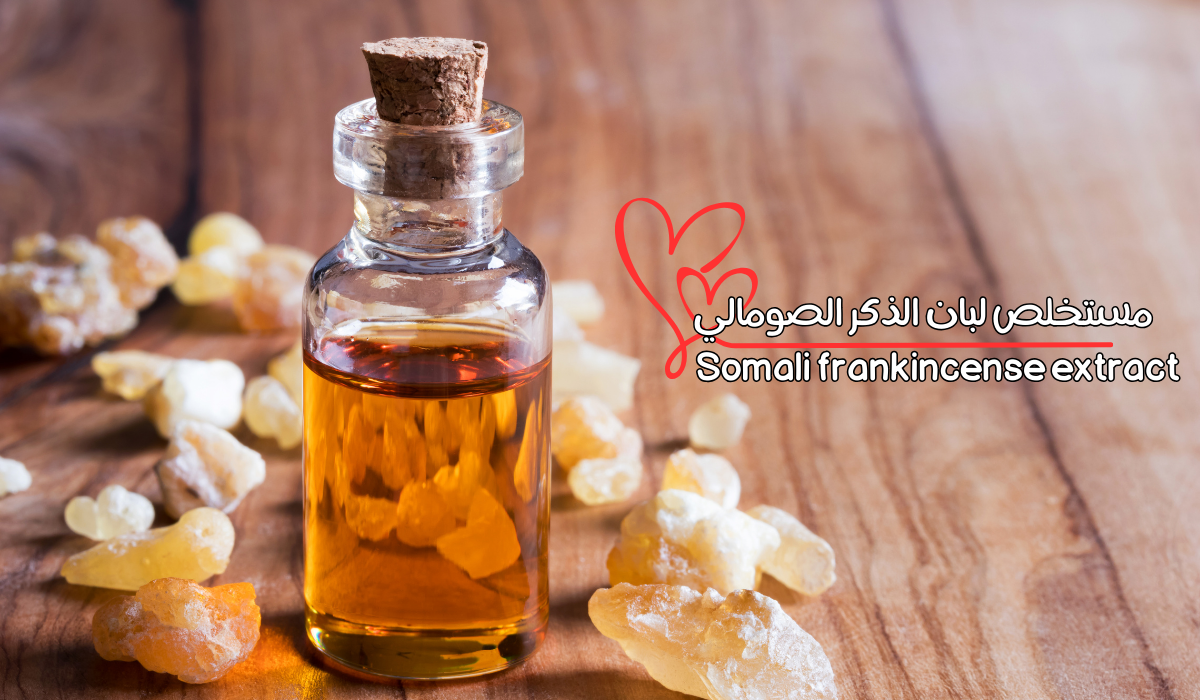 مستخلص لبان الذكر الصومالي Somali frankincense extract 3 مستخلص لبان الذكر الصومالي Somali frankincense extract