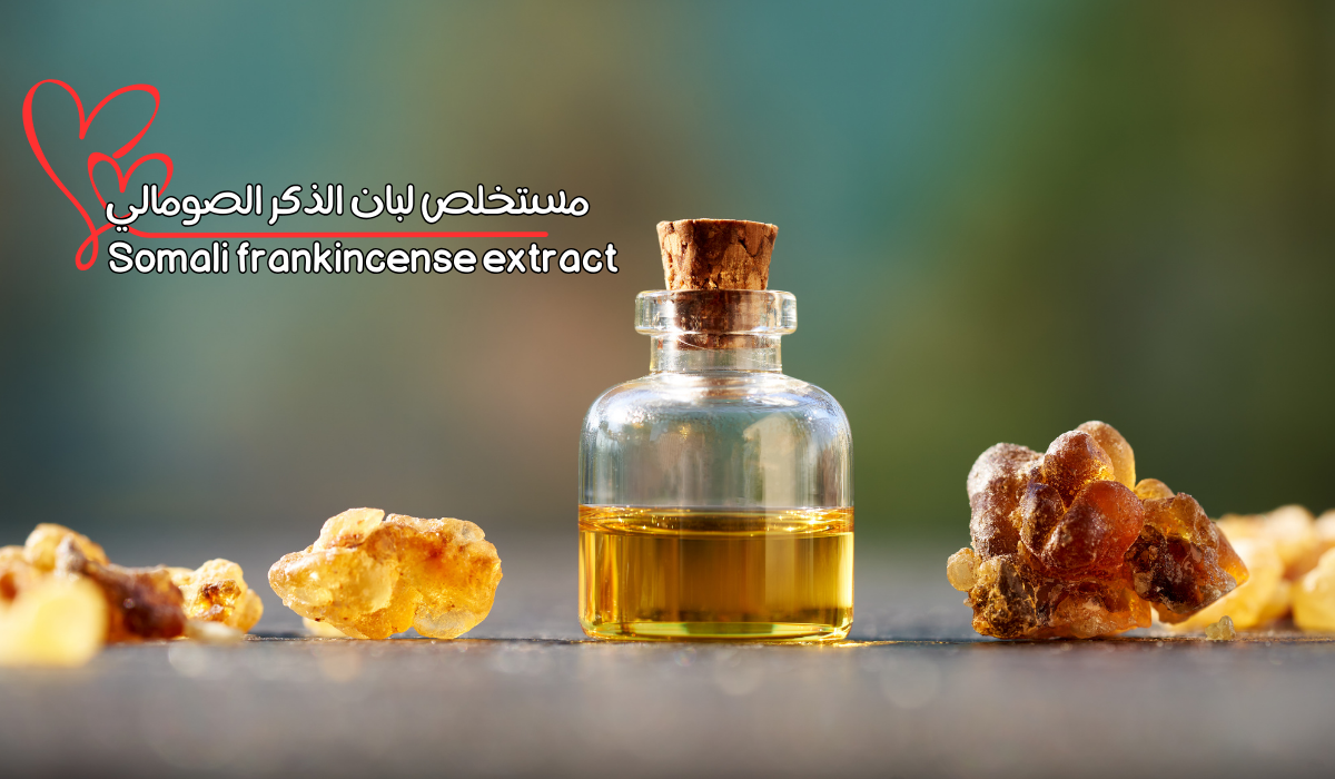 مستخلص لبان الذكر الصومالي Somali frankincense extract