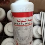 منشط نمو المركز لنمو خضري لا مثيل له