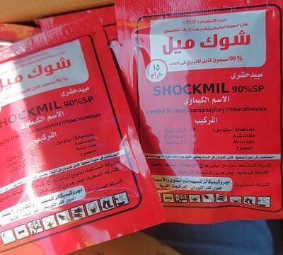 الصفحة الرئيسية 11