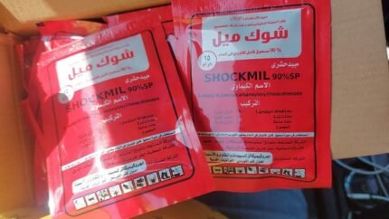 الصفحة الرئيسية 11